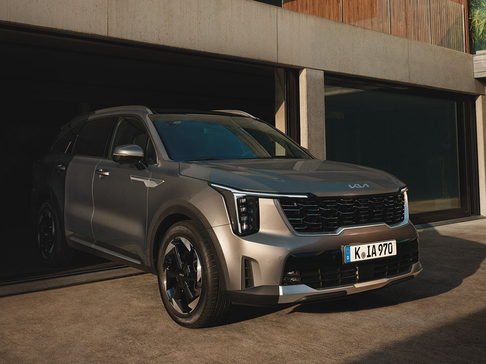 Noul sistem inteligent de asistare a parcării de la distanță